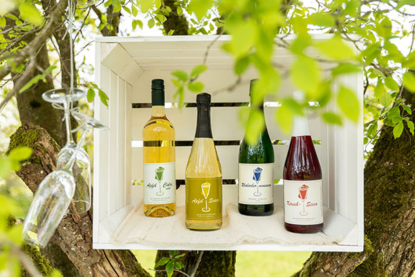Apfel-Cidre, Apfel-Secco, Rhabarber-Mousseux, Kirsch-Secco von der Obstweinkellerei Am Wässerchen